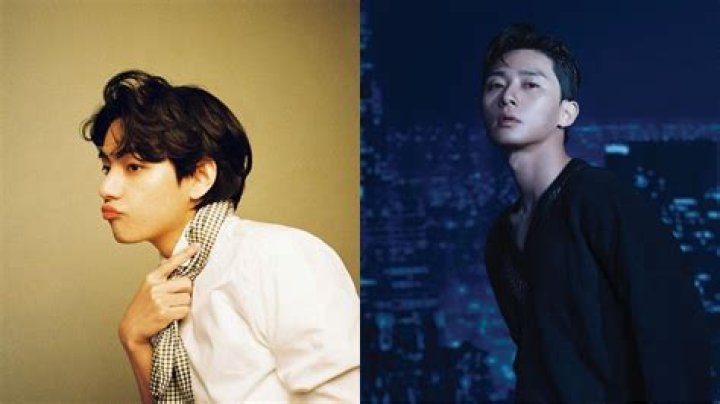 
BTS’ V and Park Seo-joon’s variety show reportedly releasing in February 2023 