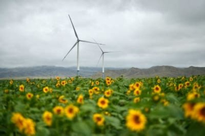 
Egypt urges world to ‘act now’ as it sets out COP27 vision 