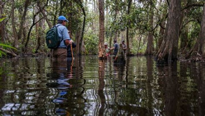 ID’s The Body in the Swamp: Where is Justin Cornell today?