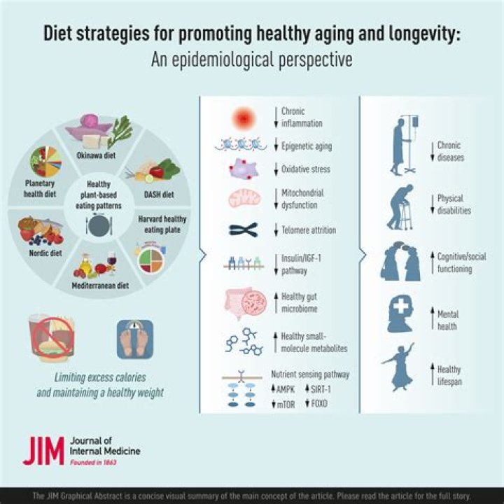 
Lucile Randon Diet For Longevity What Do The Oldest Person Eat? Lifestyle and Food Secrets 