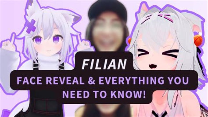 
Minecraft Gamer Jellybean Ends Live Stream In Panic After Accidental Face Reveal 