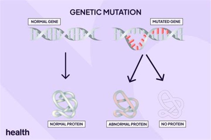 
The Genetic Mutation That Causes Kraken Covid to Spread 