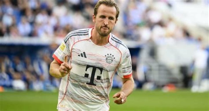 Vinnie Heave Age, Birthday, Wikipedia, Who, Nationality, Biography