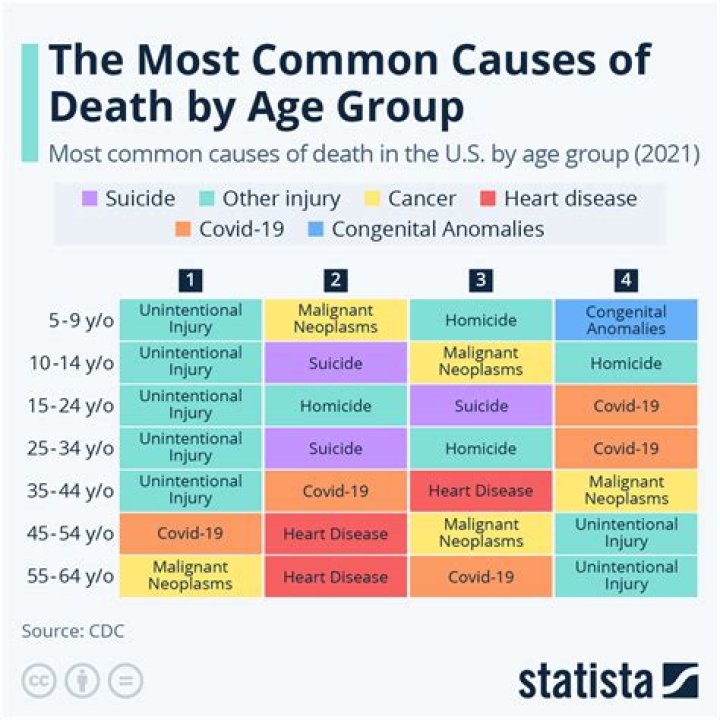 What Happened To Joey Mills? Determine Cause Of Death – Age Wikipedia And Partner Info