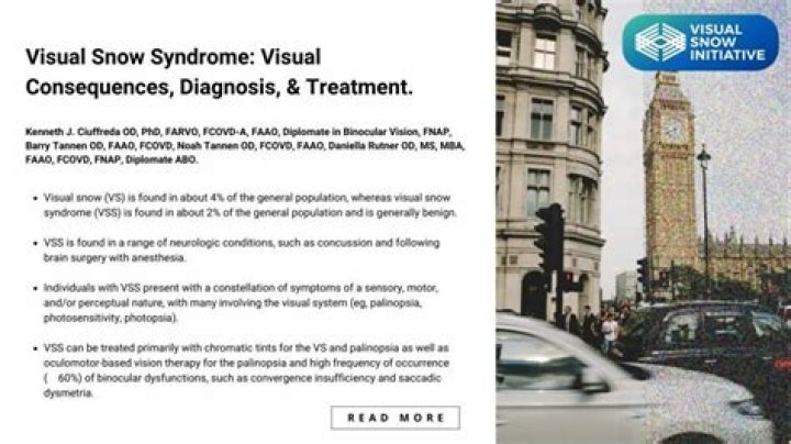 What is visual snow syndrome? Bryan Kohberger Tapatalk forum posts go viral online