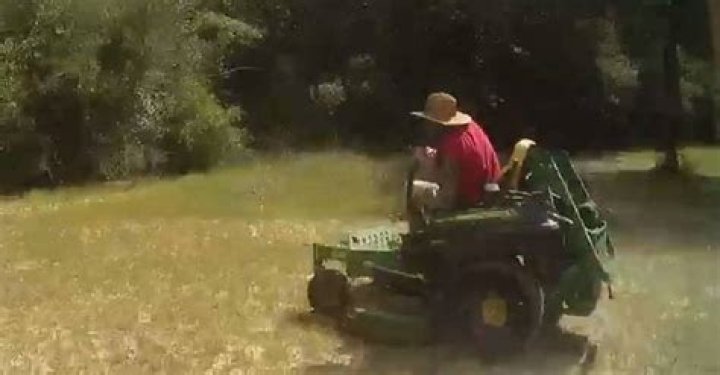 
Who Is Dusty Mobley? Man Arrested After Swamp Diving & Lawn Mower Riding 