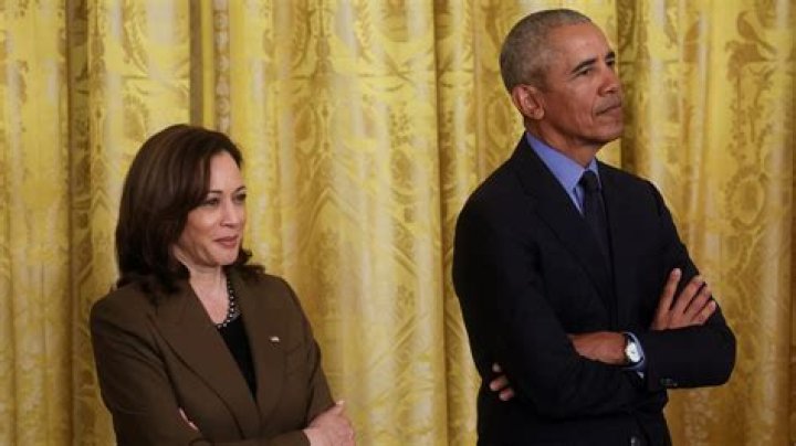 
Who Is Michael Fuchs? Kamala Harris Deputy Chief Of Staff Wikipedia & Salary, Why is He Resigning? 