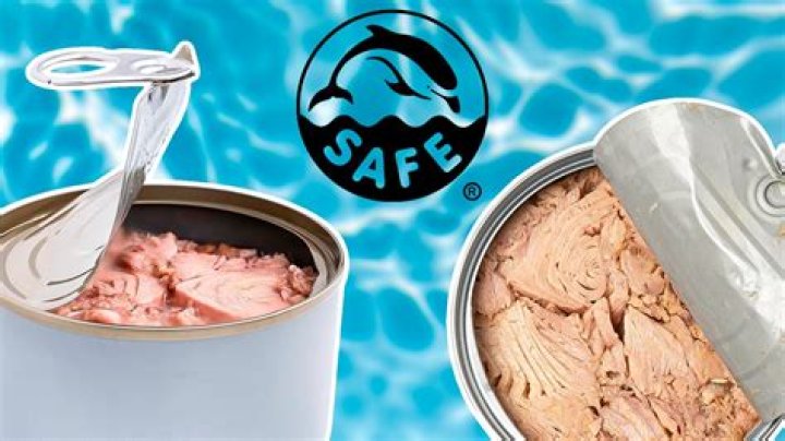 
Why is Costco getting sued? Details revealed as brand faces lawsuit over “dolphin safe” canned tuna claim 