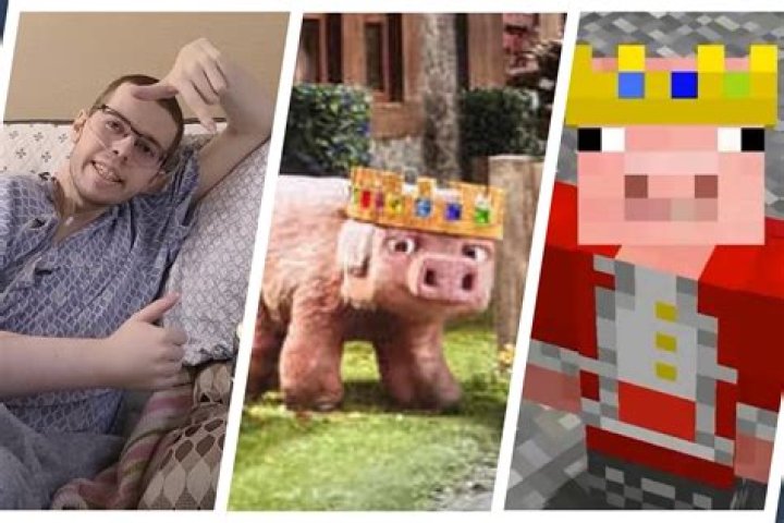 
Why Minecraft Content Creator technoblade Did Not Show His Face? Twitter And Reddit Reactions Over His Cancer 